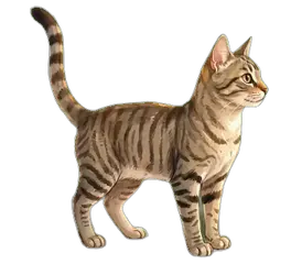 Mishu